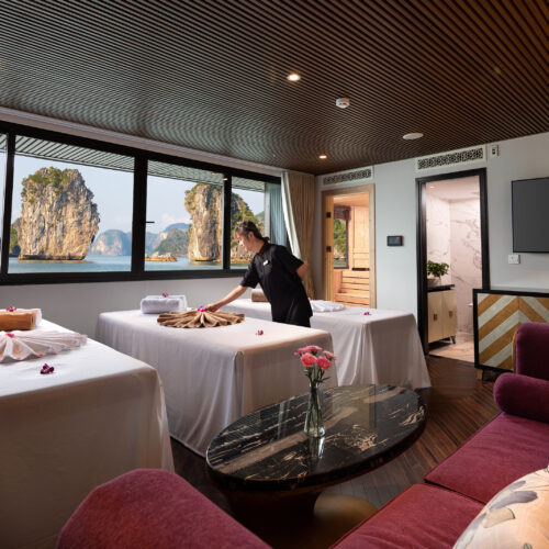 halong bay tours cruises from Hanoi to Halong bay best things to do in Halong Bay Hotels with 1 day trip stellar of the seas luxury 5 stars cruises